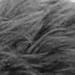 Meet your Posher, Caeb